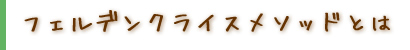 フェルデンクライスメソッドとは